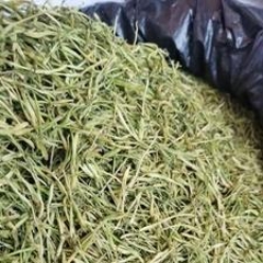 图片未找到