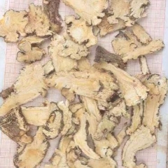图片未找到