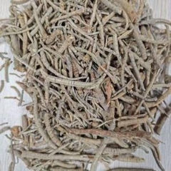 图片未找到