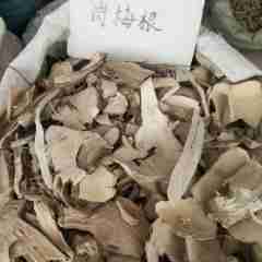 图片未找到