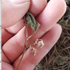 图片未找到