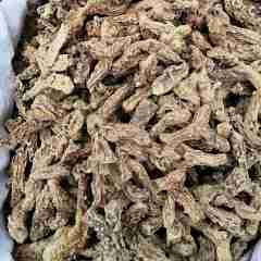 图片未找到
