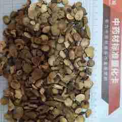 图片未找到