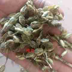 图片未找到