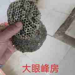 图片未找到