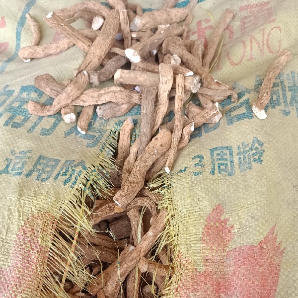 图片未找到