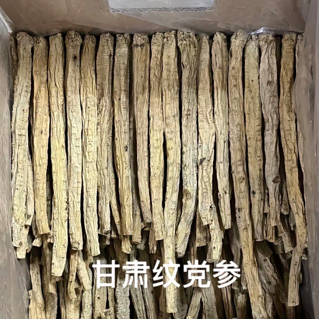 图片未找到