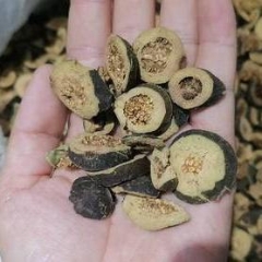 图片未找到