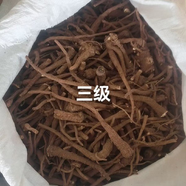 图片未找到