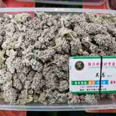 图片未找到