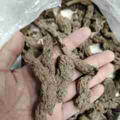 图片未找到