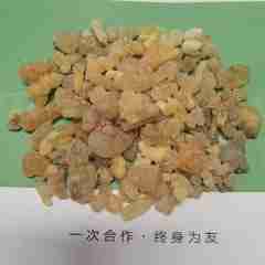图片未找到