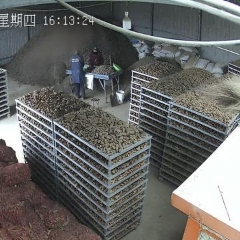 图片未找到