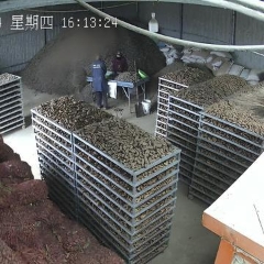 图片未找到