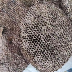 图片未找到