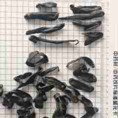 图片未找到