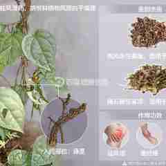 图片未找到