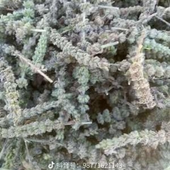 图片未找到