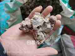图片未找到