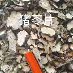 图片未找到