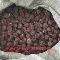 图片未找到