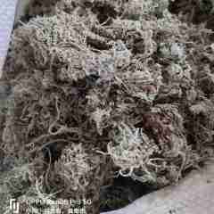图片未找到