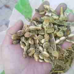 图片未找到