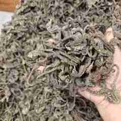 图片未找到