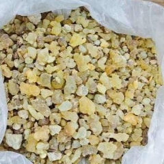 图片未找到