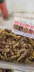 图片未找到