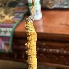 图片未找到