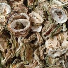 图片未找到