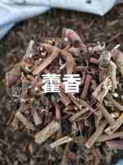 图片未找到