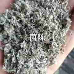 图片未找到