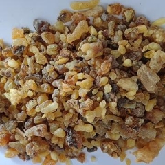 图片未找到