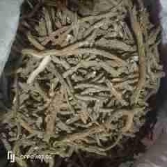 图片未找到