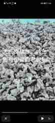 图片未找到