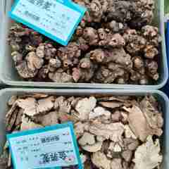 图片未找到