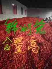图片未找到