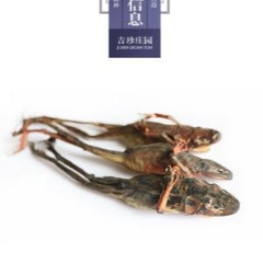 图片未找到