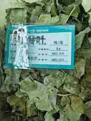 图片未找到