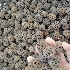 图片未找到