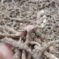 图片未找到