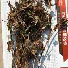 图片未找到