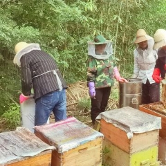 图片未找到