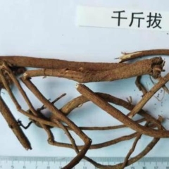 图片未找到