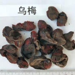 图片未找到