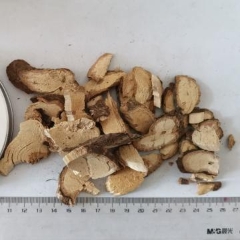 图片未找到