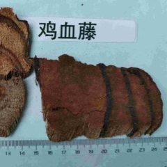图片未找到