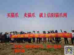 图片未找到